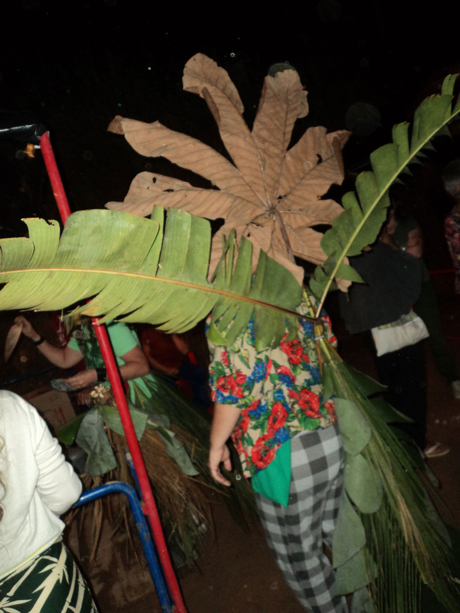 2016-02-08/09 Carneval de Galdi (Foto)